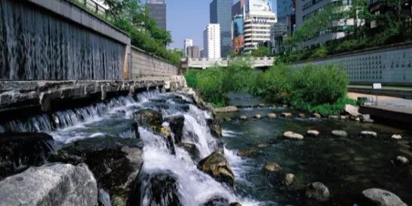 河道景觀設(shè)計秘籍：駁岸、親水、綠化、綜合治理、生態(tài)修復及植物選擇