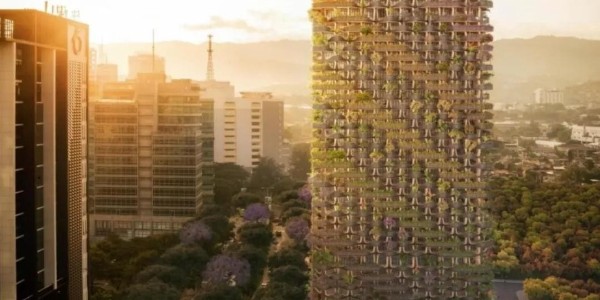 這才叫綠色建筑！用木頭代替鋼筋水泥，30000多植物栽在陽臺！